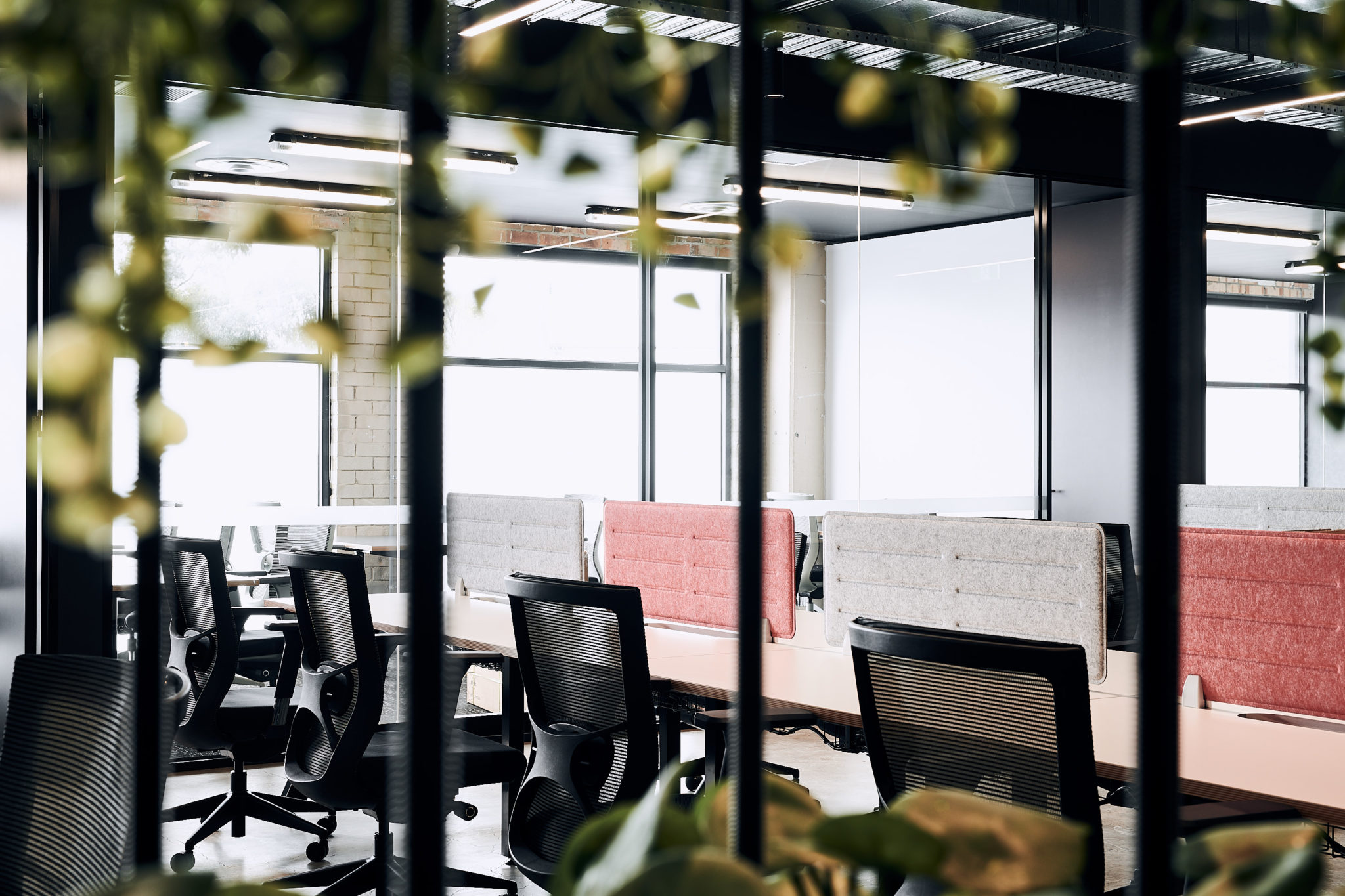 Why Coworking Makes Sense for Freelancers