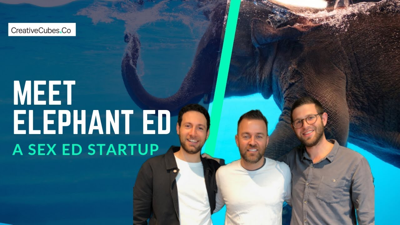 Elephant In The Room