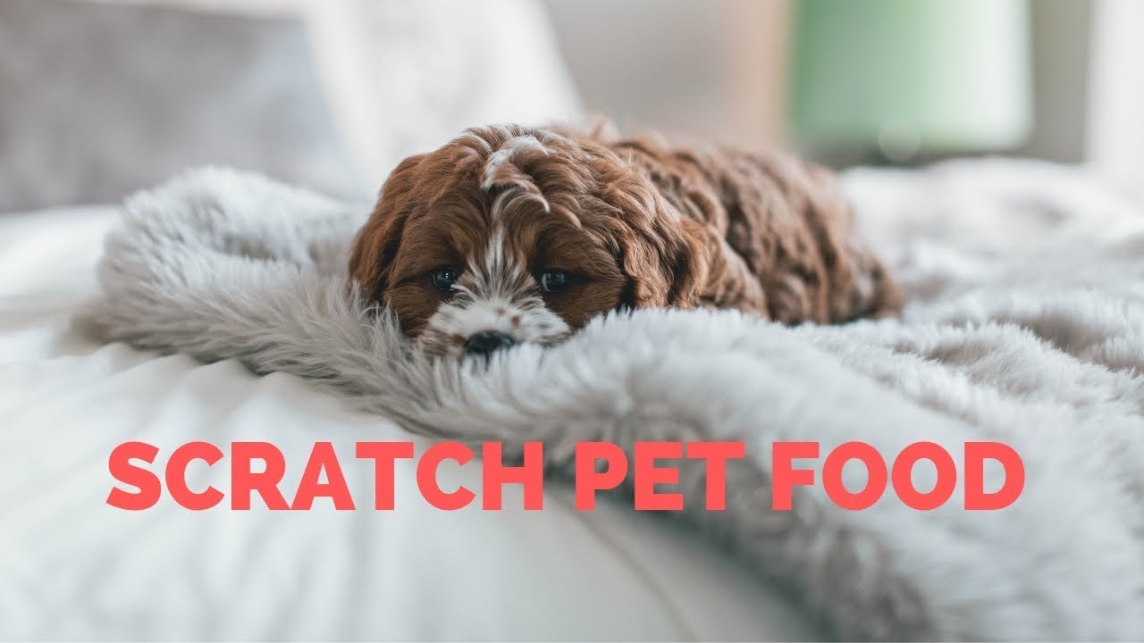 Scratch Pet Food