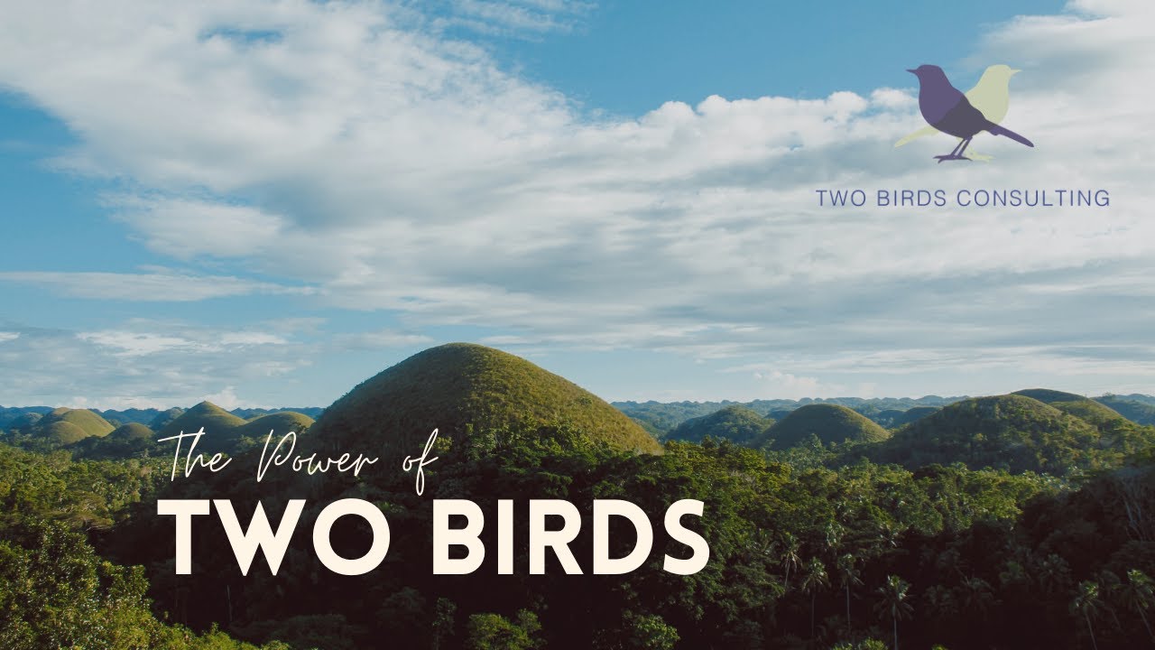 Two Birds