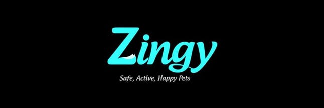Zingy, safe happy pets