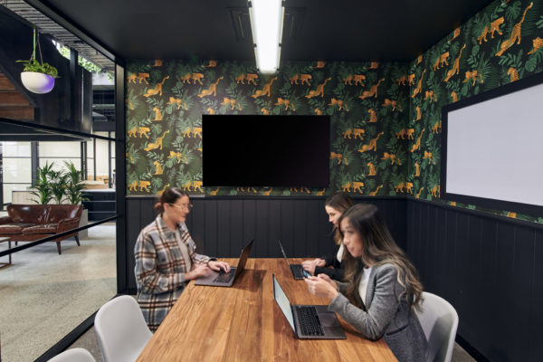 CreativeCubes.Co Carlton VIC 3053 | Private Office For Rent | Coworking | Meeting Rooms For Hire | Event Space | Lygon Street | Lygon Court - 00004