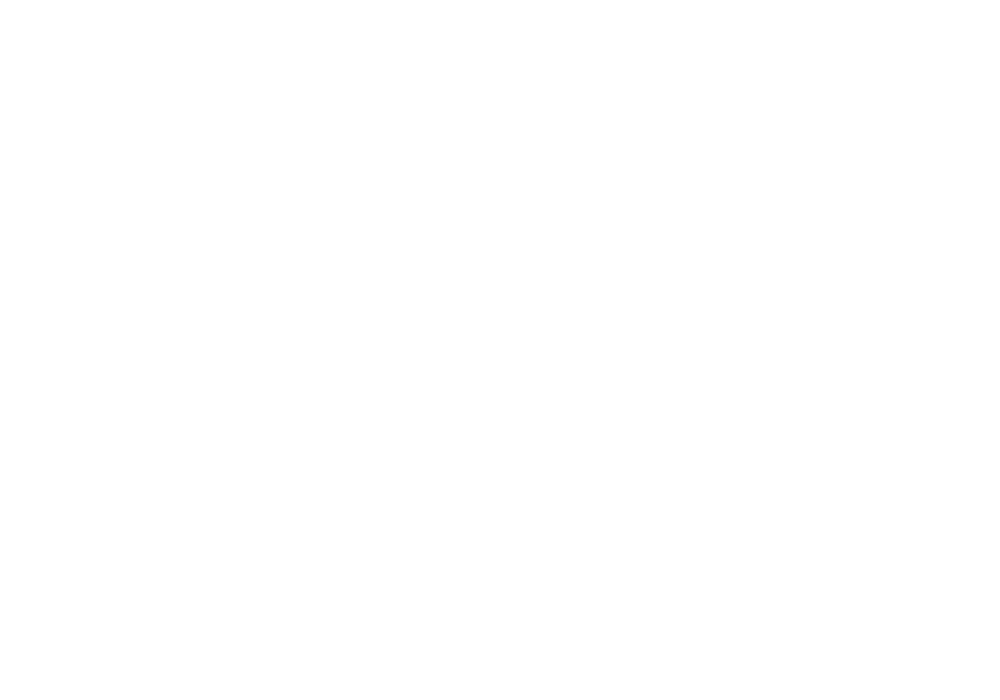wisetech-global-logo white