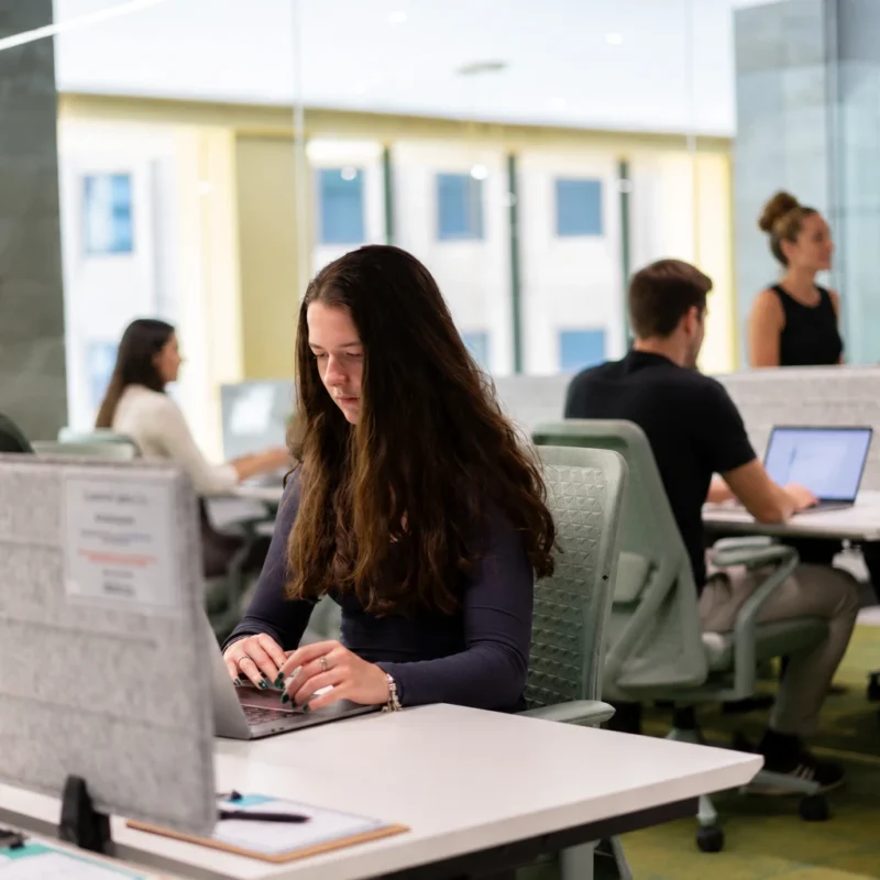 Australian SME professionals working in a modern coworking space